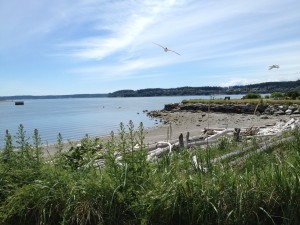 Whidbey Island scenery (photo from the Northwest Institute of Literary Arts Facebook page.)
