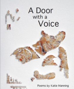A-Door-with-a-Voice-Cover