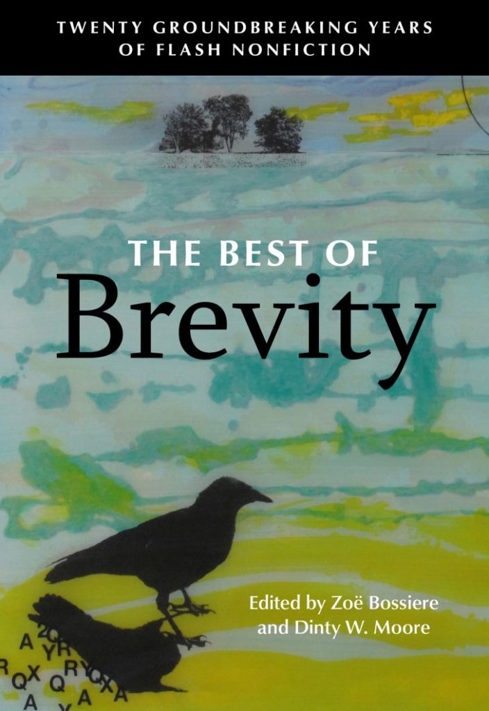 Cover image for THE BEST OF BREVITY: TWENTY GROUNDBREAKING YEARS OF FLASH NONFICTION (Rose Metal Press).