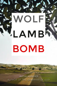 cover of WOLF LAMB BOMB